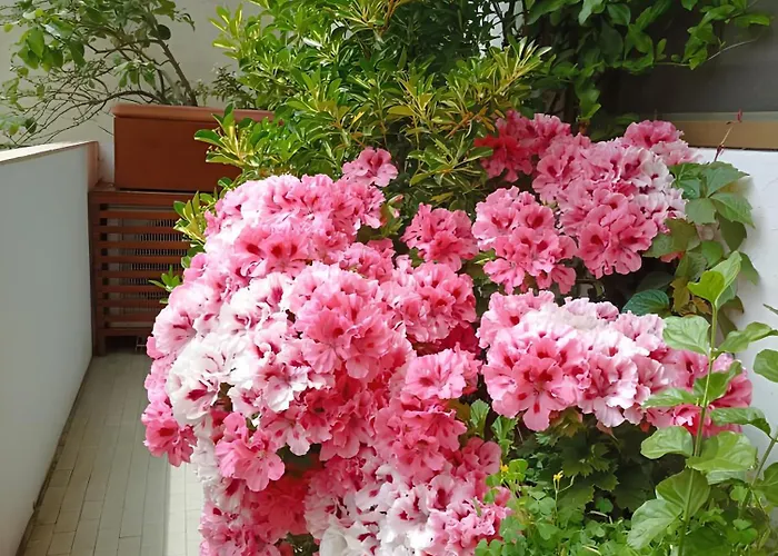 Apartamento La Casa Dei Fiori Florencia, Italia