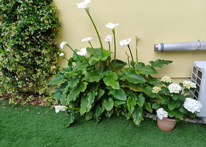 Movie Star Apartment With Garden Florencia, Italia